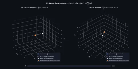 L1 Lasso Regularization & Sparsity