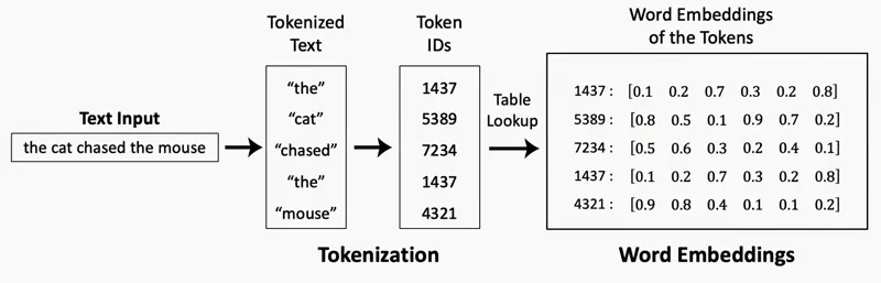 Tokenization & Embeddings